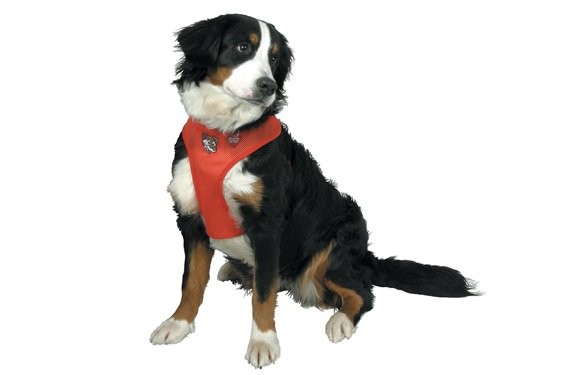 Postroj Doggy Things sovan M erven
