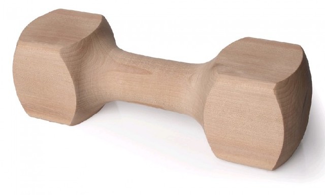 Trixie - aportovac hraka pro psy - devn inka 650g