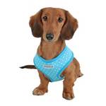 Dotty Harness A kry - modr, vel.S